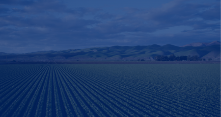 The Future of Farm to Fork – nowa inicjatywa IoT Hub North Poland